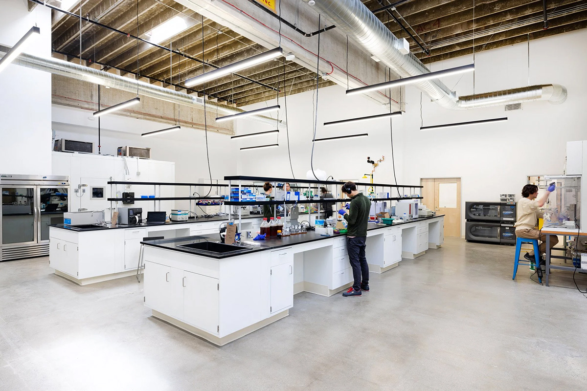 Photo: Berkeley Yeast, Speedway at Bayfair, San Leandro, CA.